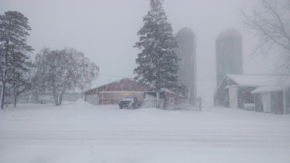 Blizzarding Winter on the Farm (http://thefarmingdaughter.com/2015/02/26/winter-on-the-farm)