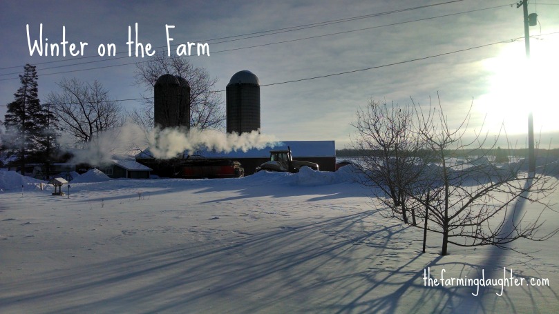 Winter on the Farm (http://thefarmingdaughter.com/2015/02/26/winter-on-the-farm)