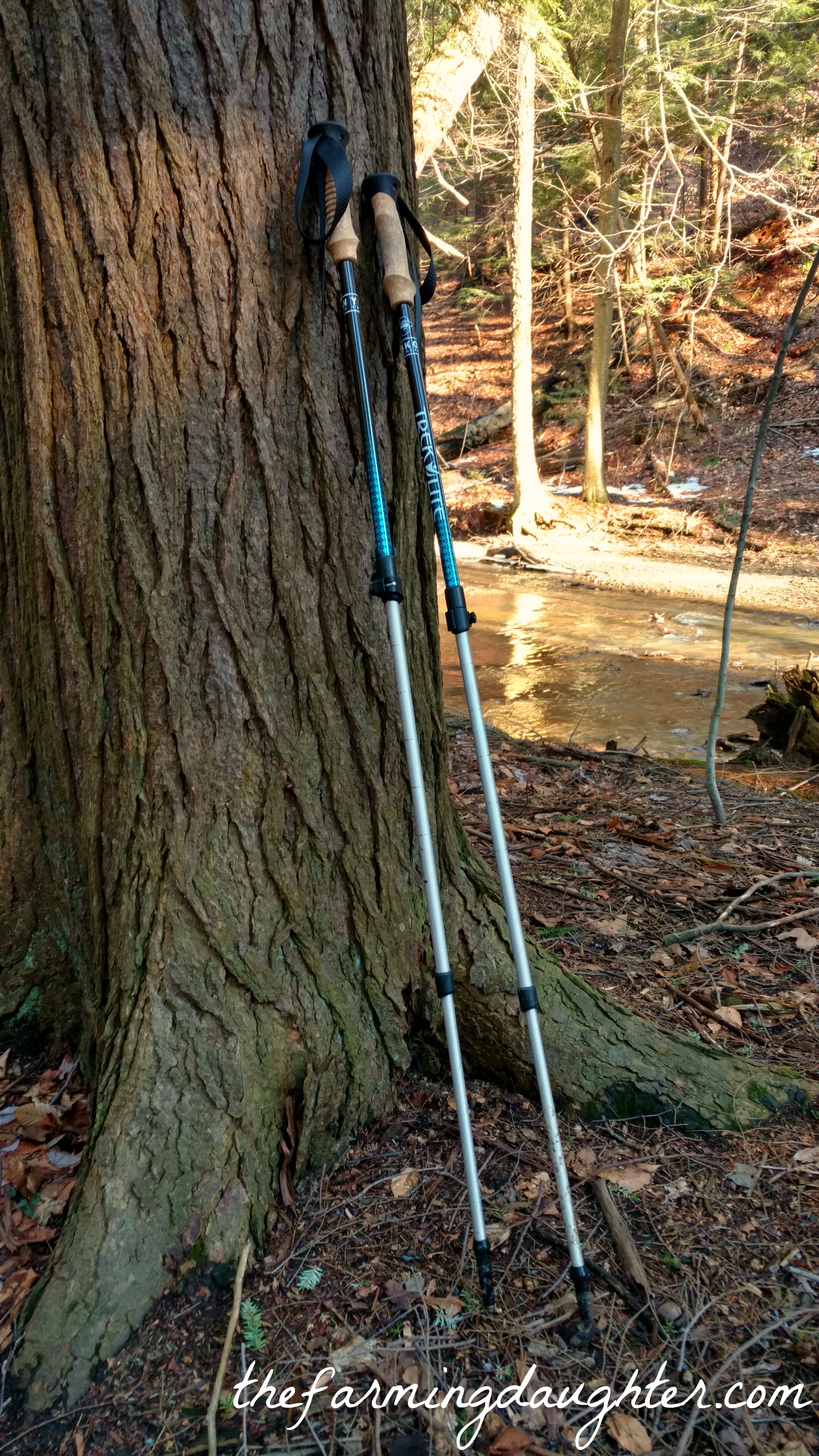 my-trekking-poles