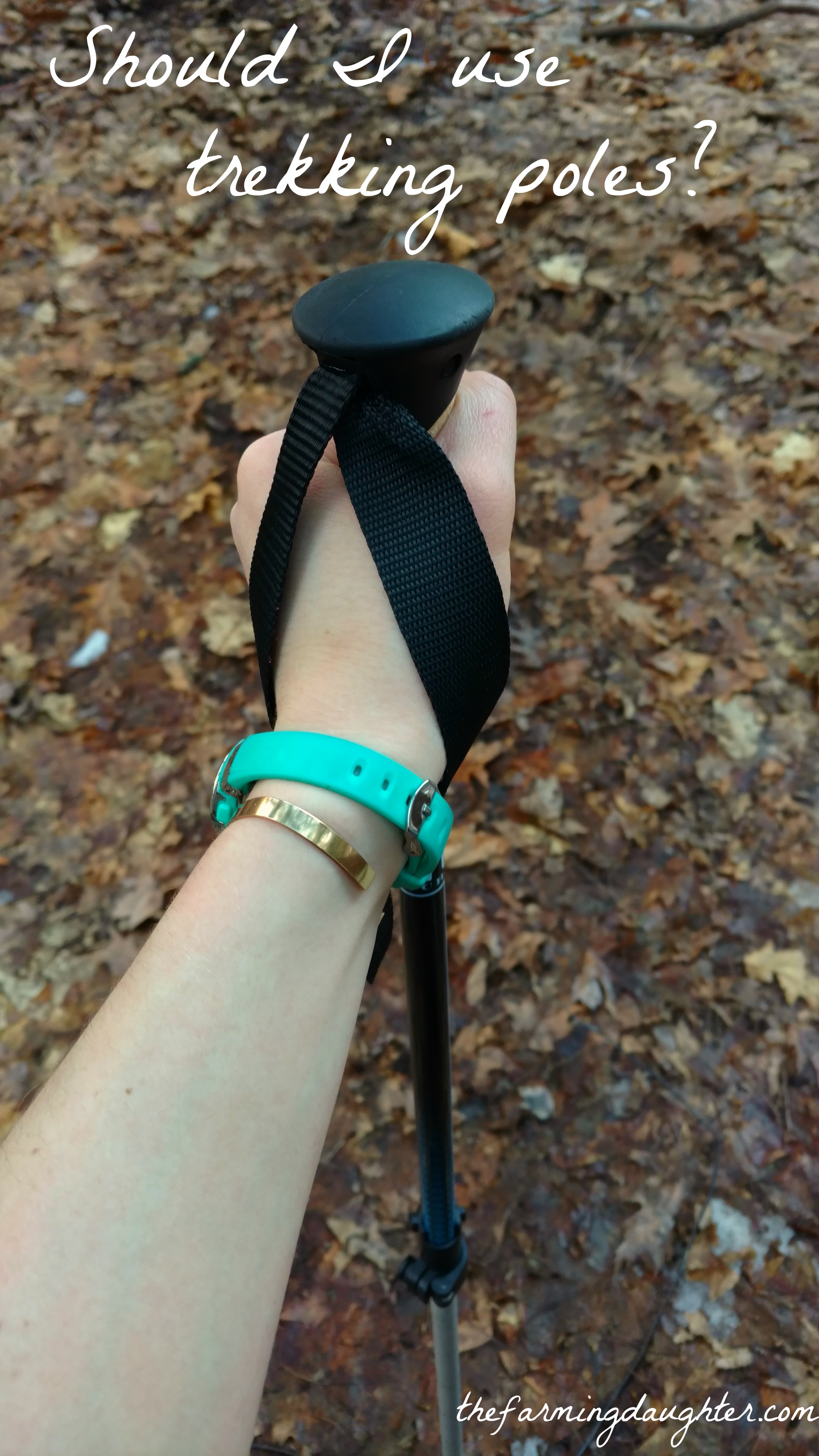 The Farming Daughter Blog: Should I Use Trekking Poles? (https://thefarmingdaughter.com/2017/02/20/should-i-use-trekking-poles)
